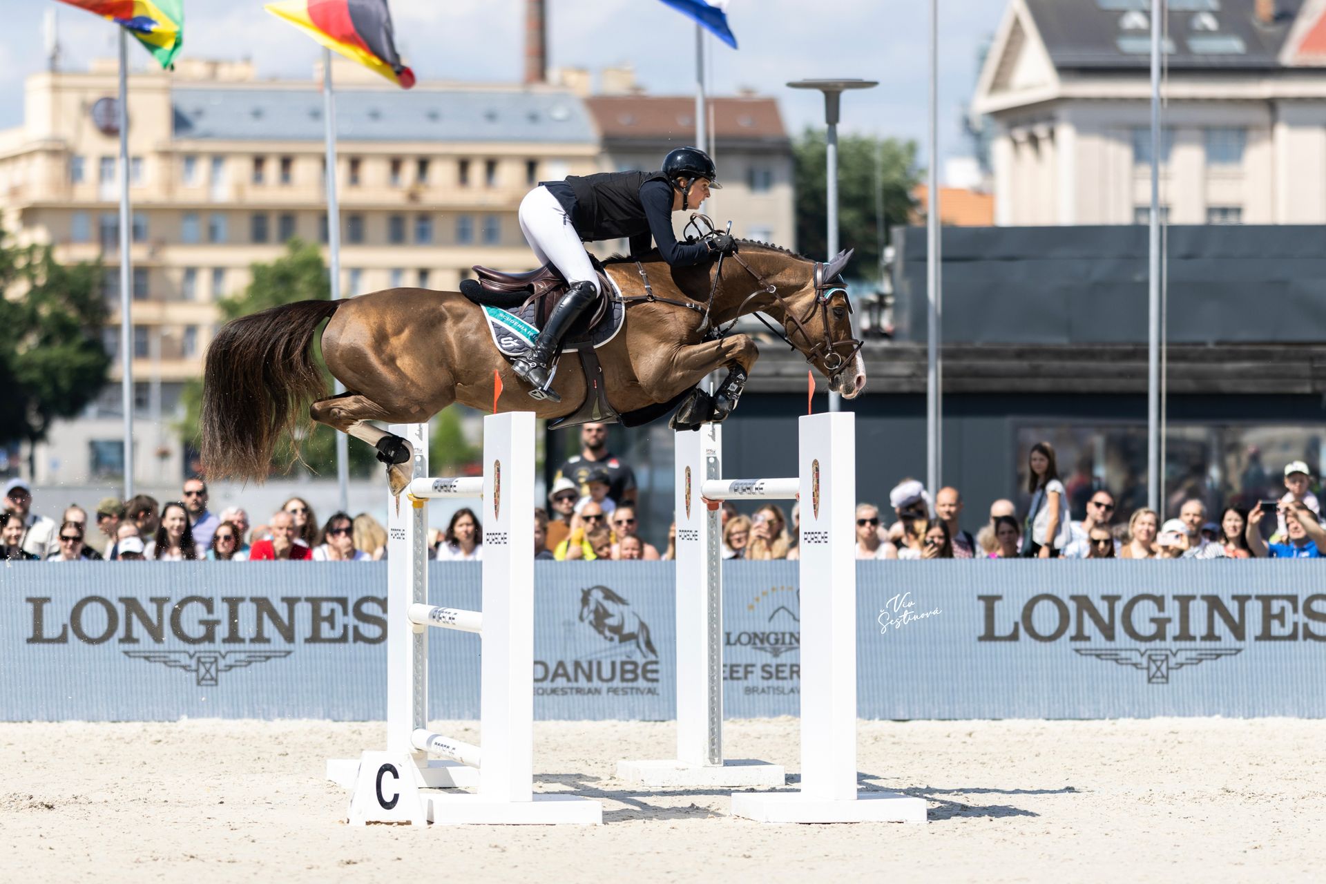 Showjumping