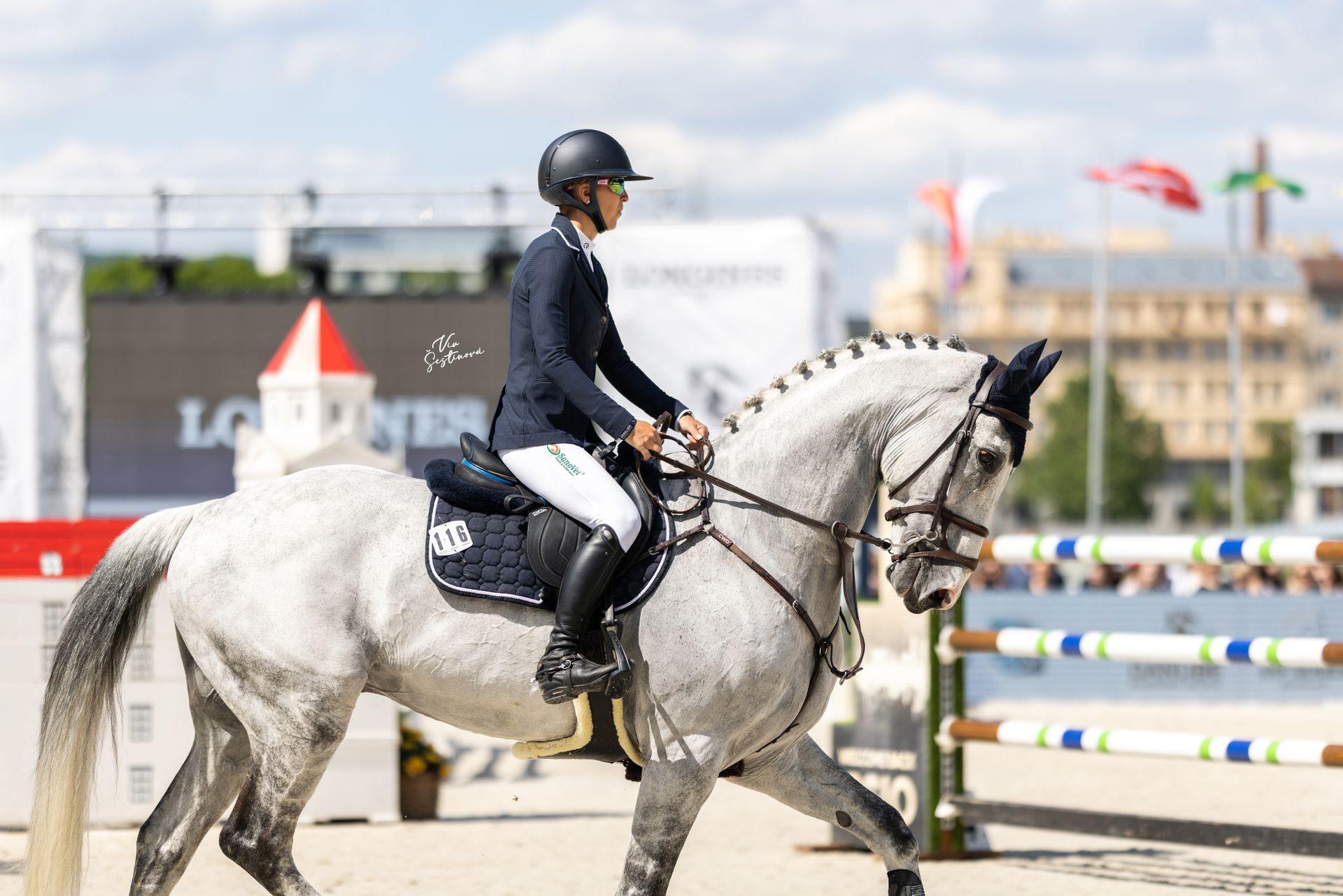 Showjumping