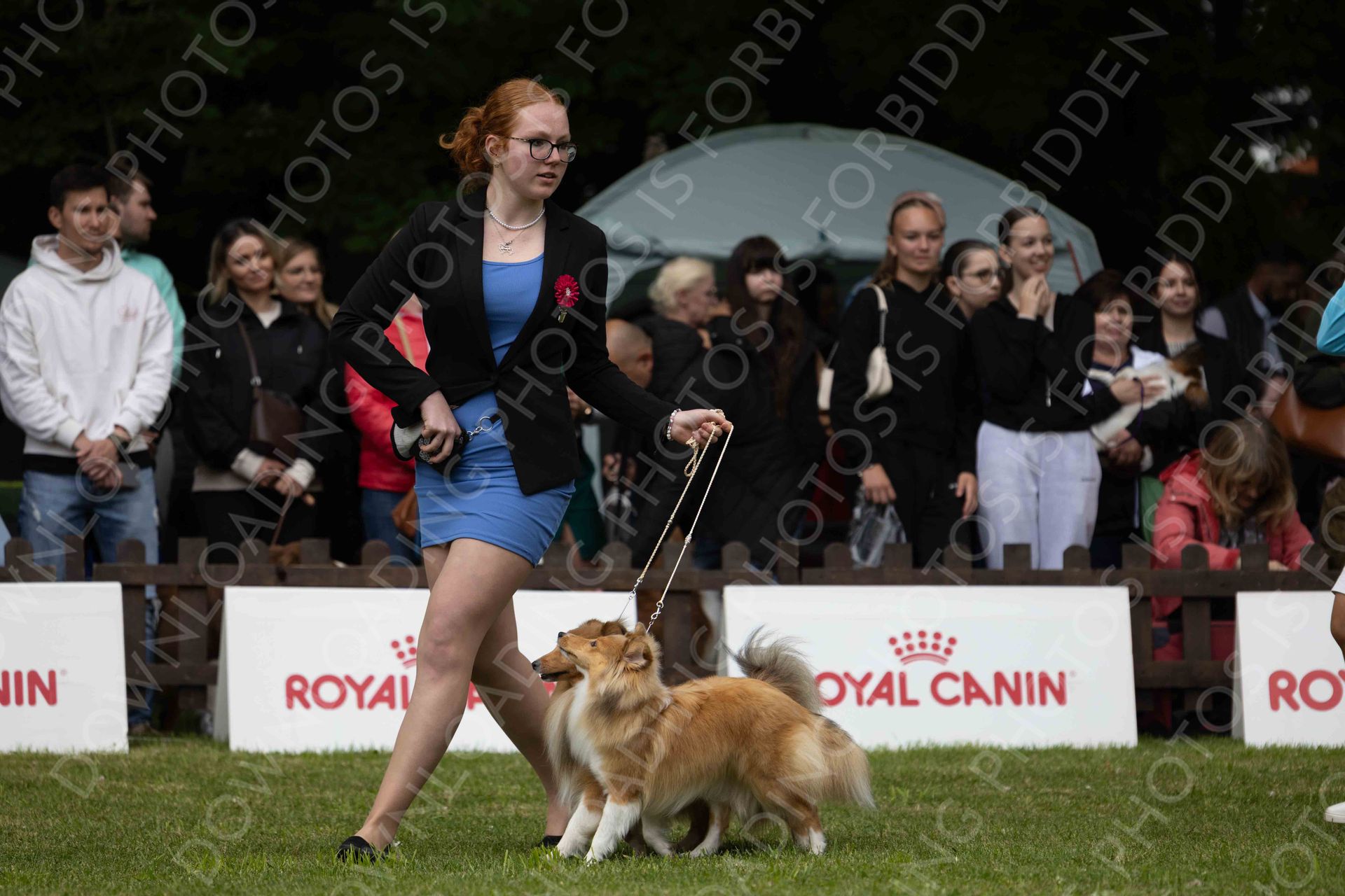 COMPETITIONS