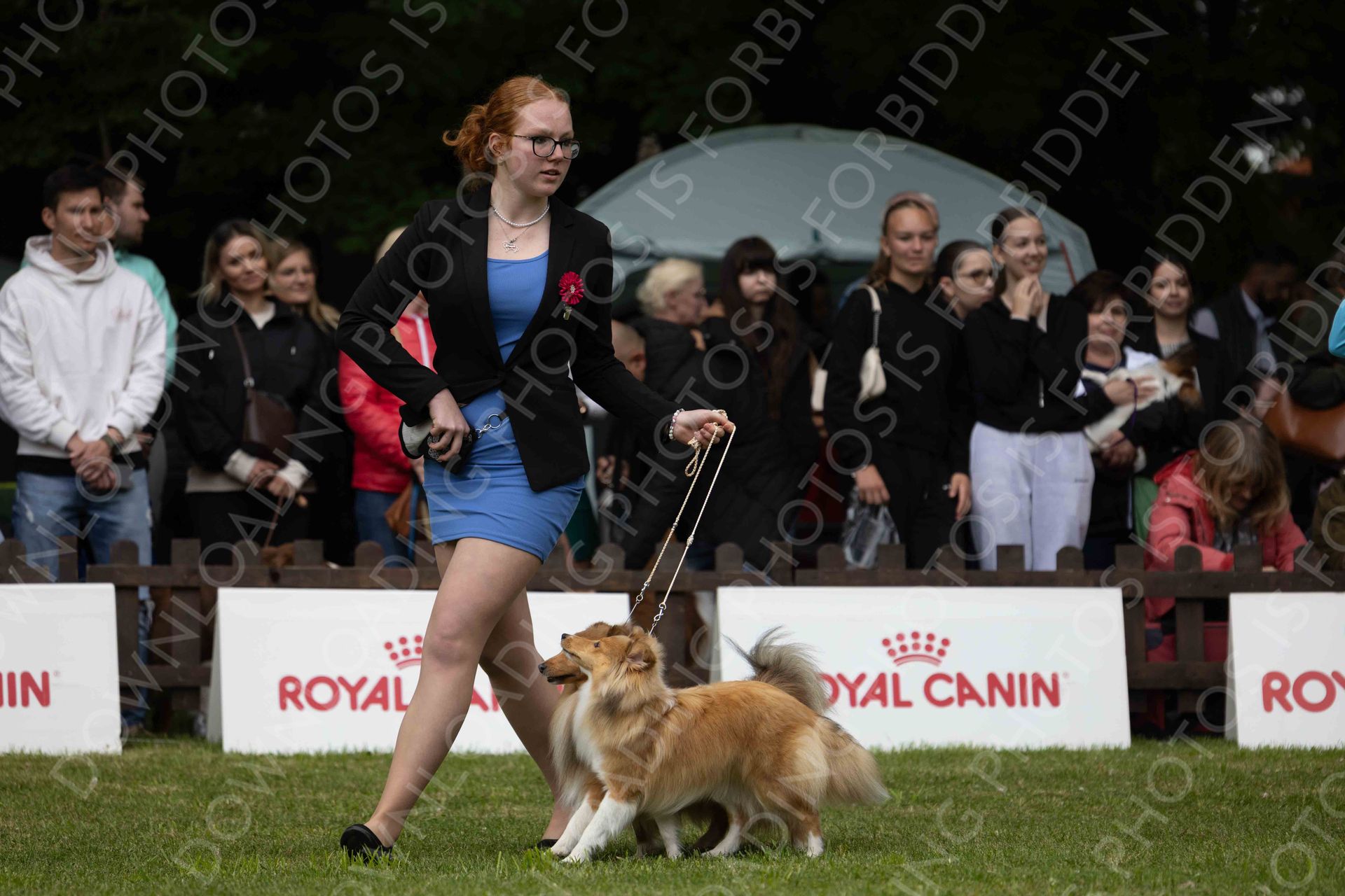 COMPETITIONS