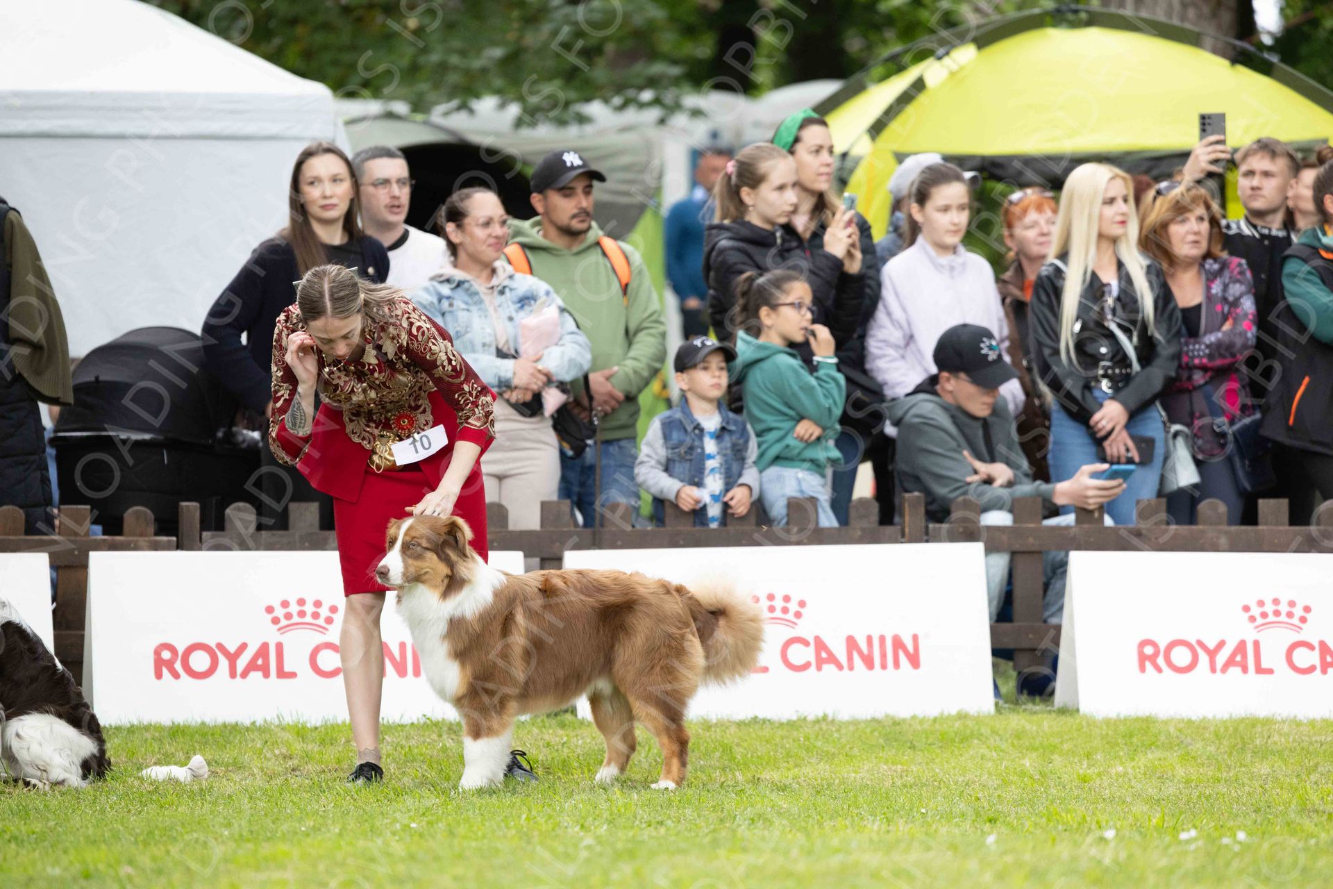 PUPPIES