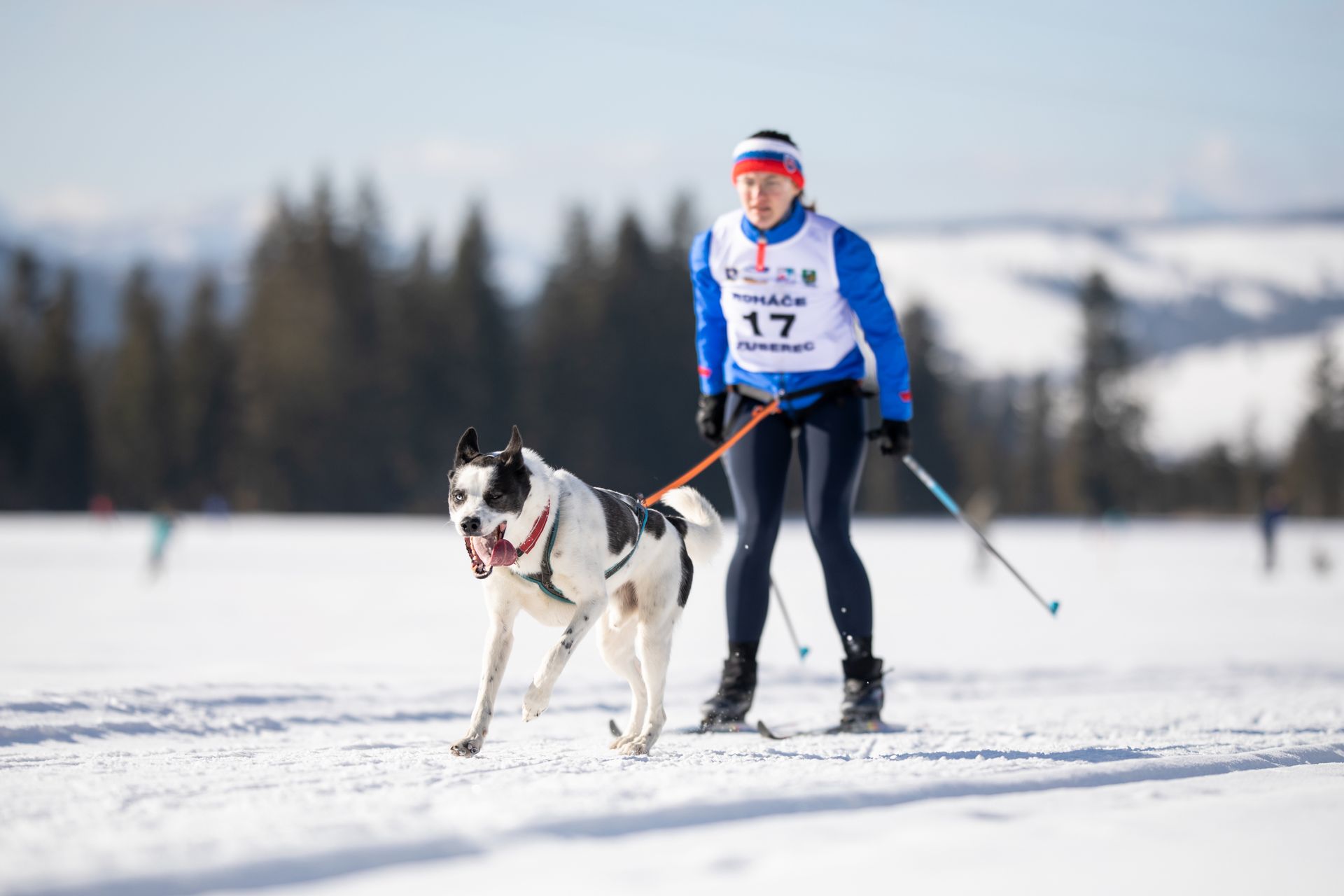 SPORT