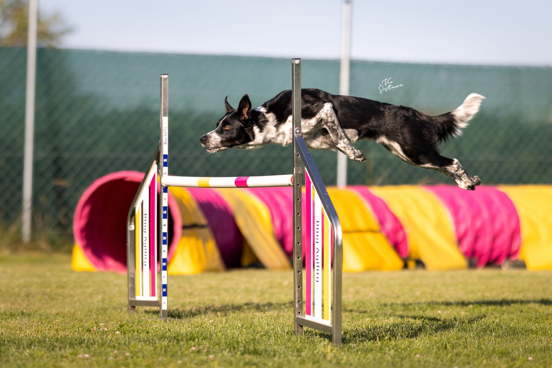 SPORT