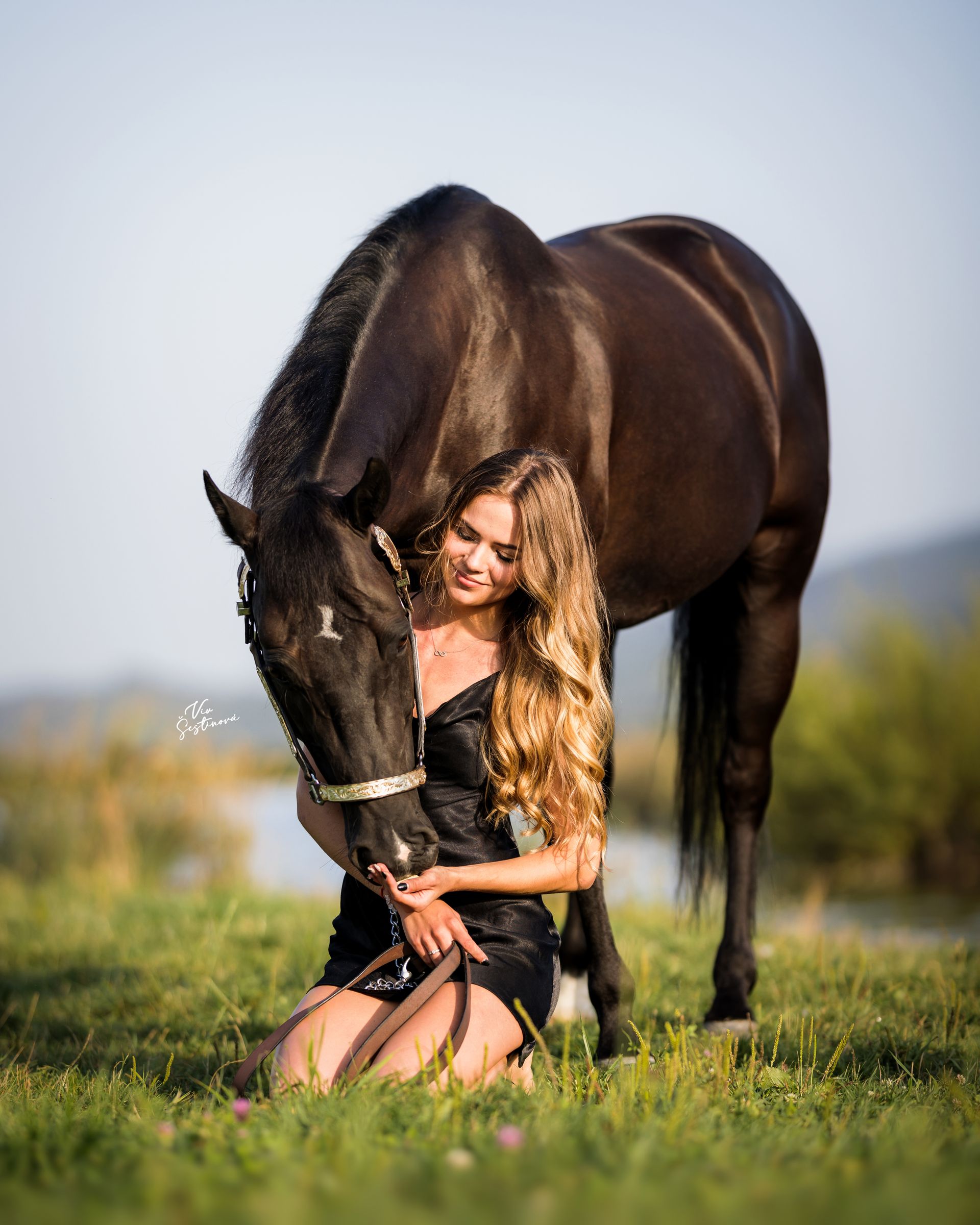 DEDICATED PHOTOSHOOTS 