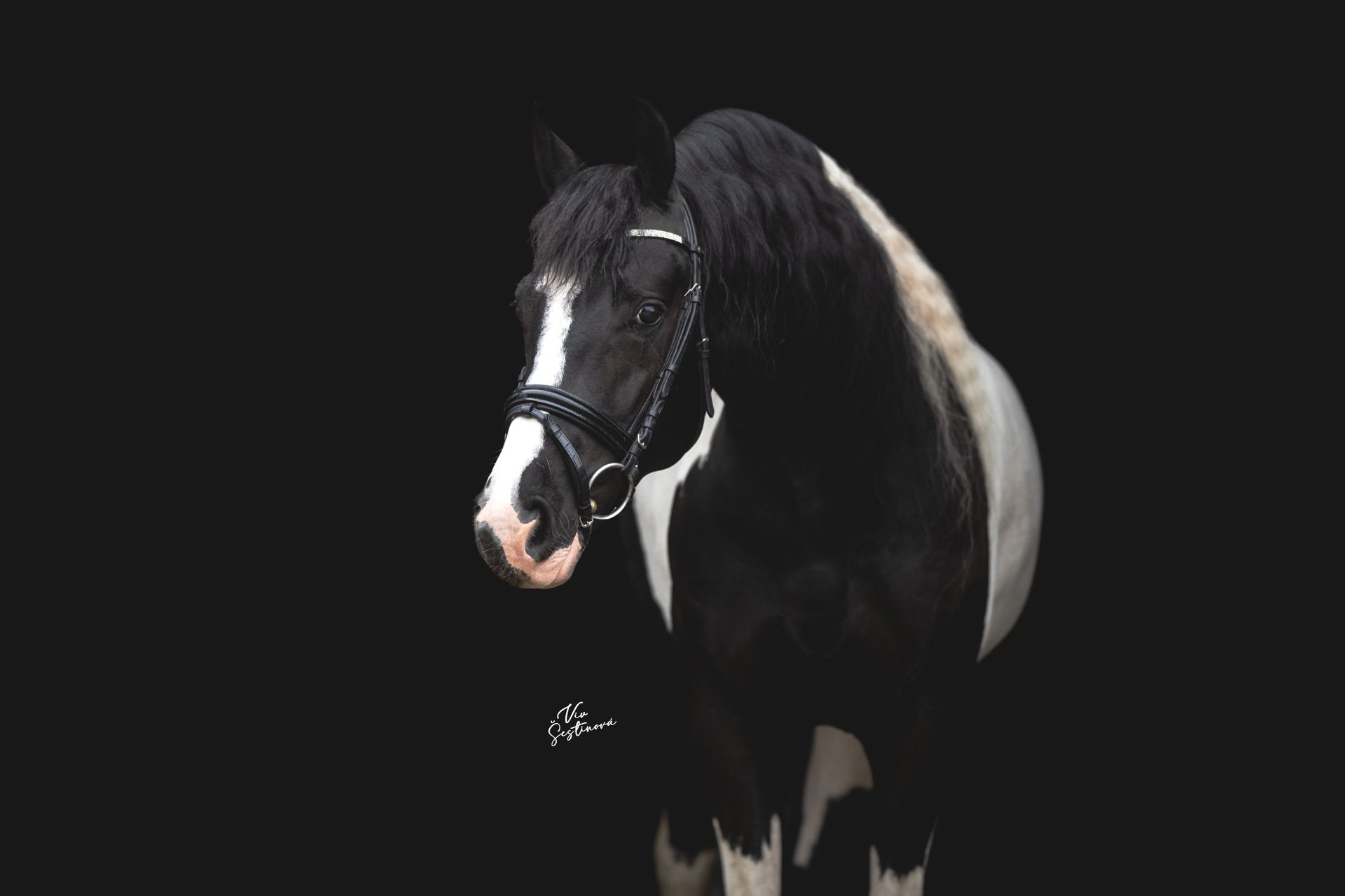 BLACK-BACKGROUND