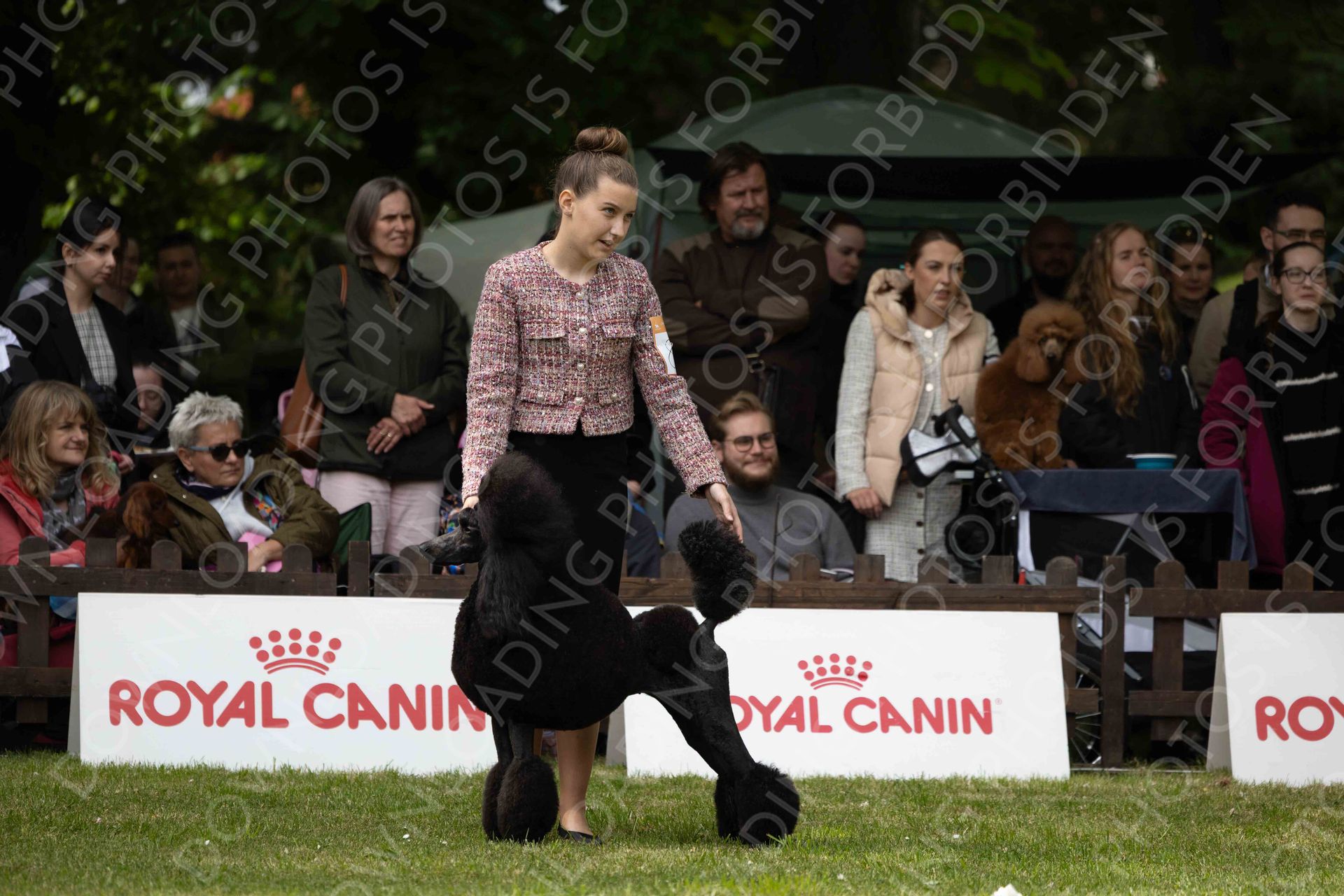 COMPETITIONS