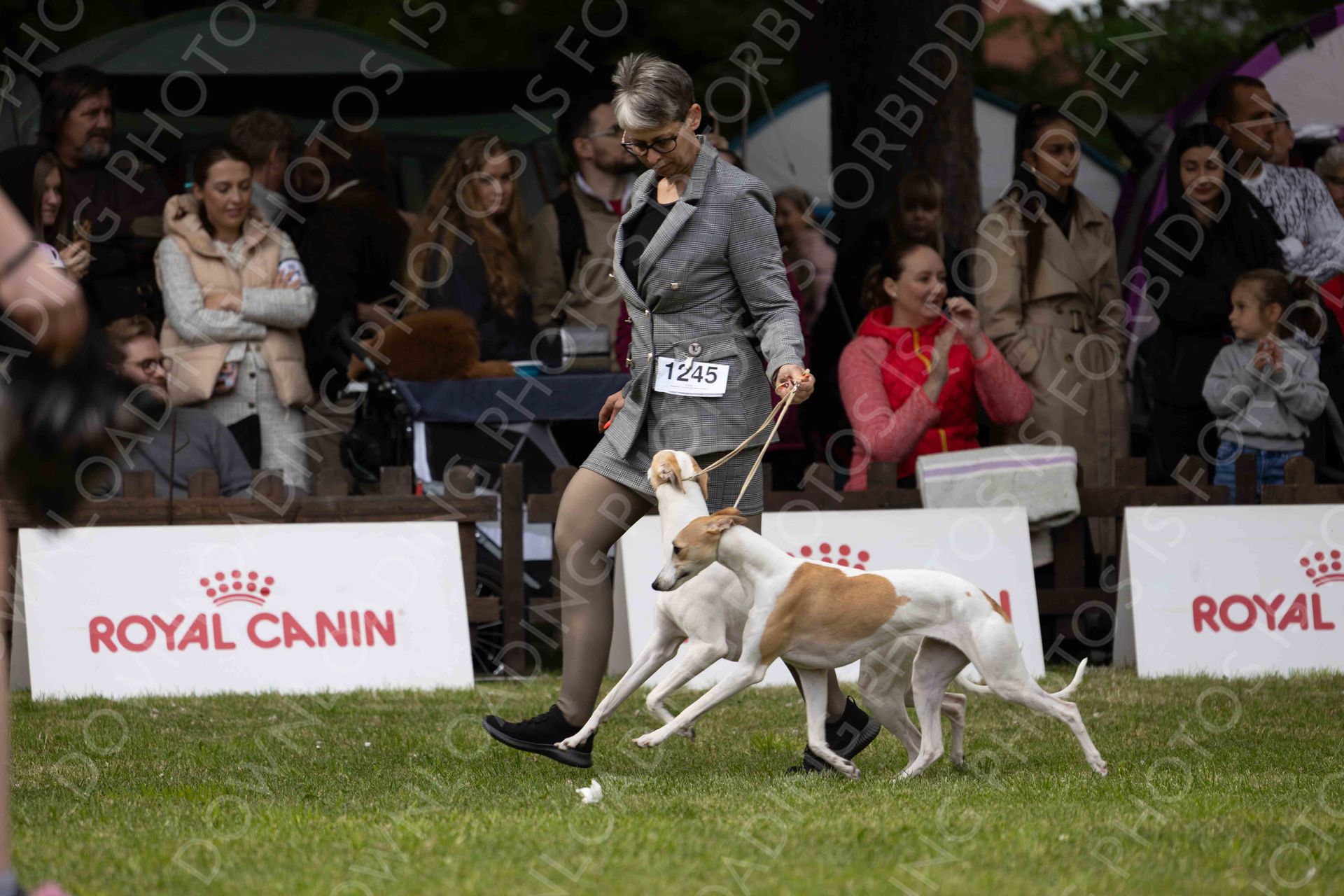 COMPETITIONS