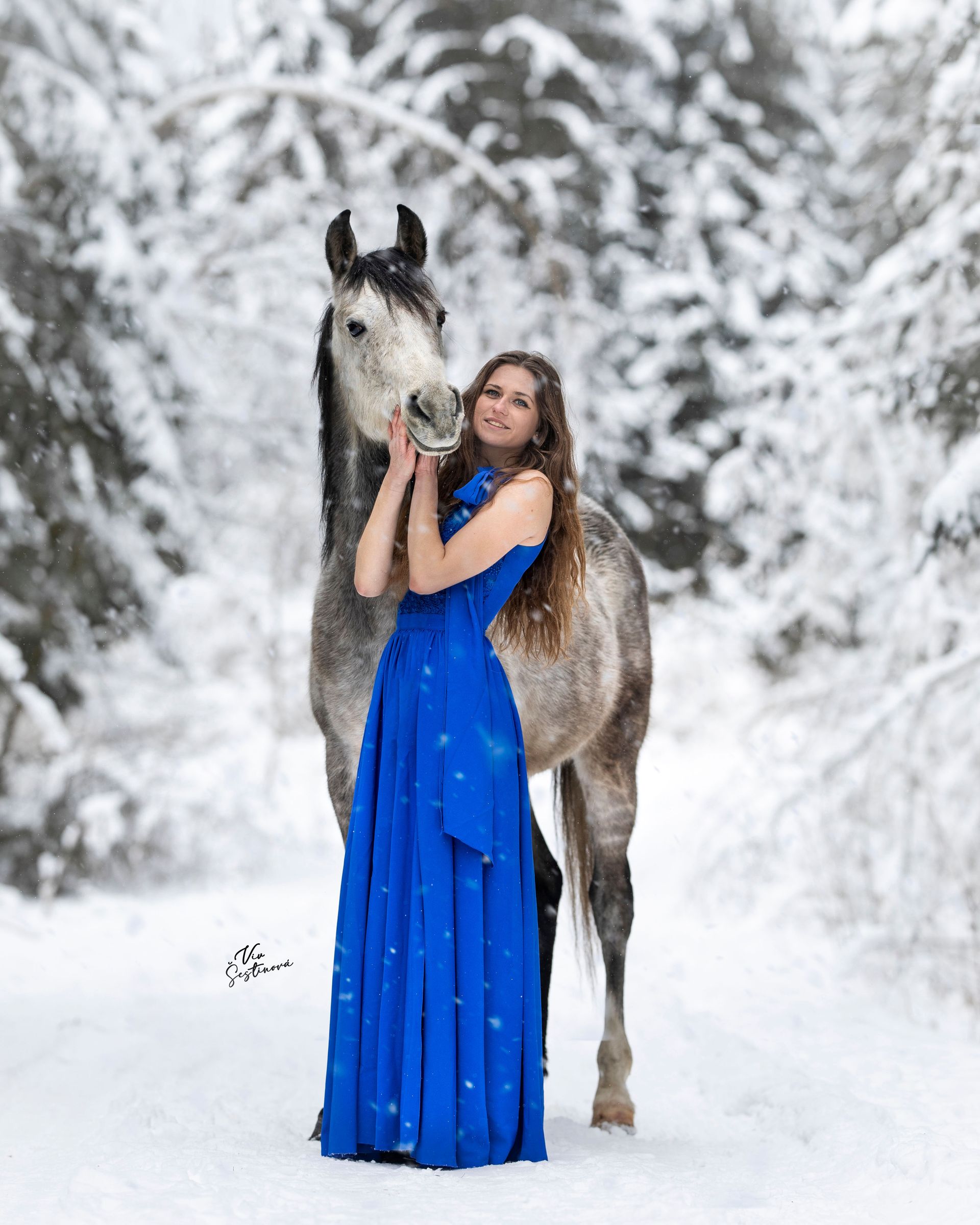 DEDICATED PHOTOSHOOTS 