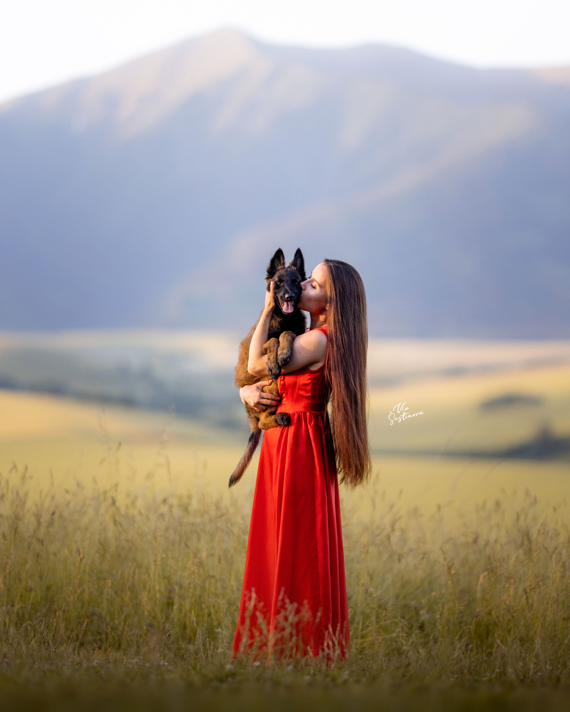 DEDICATED PHOTOSHOOTS