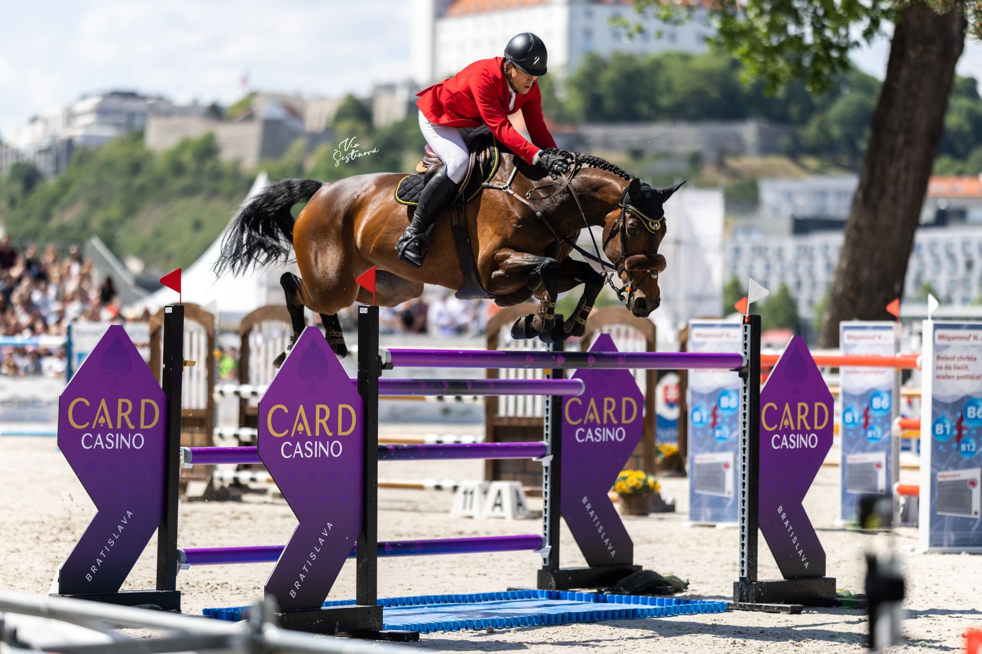 Showjumping