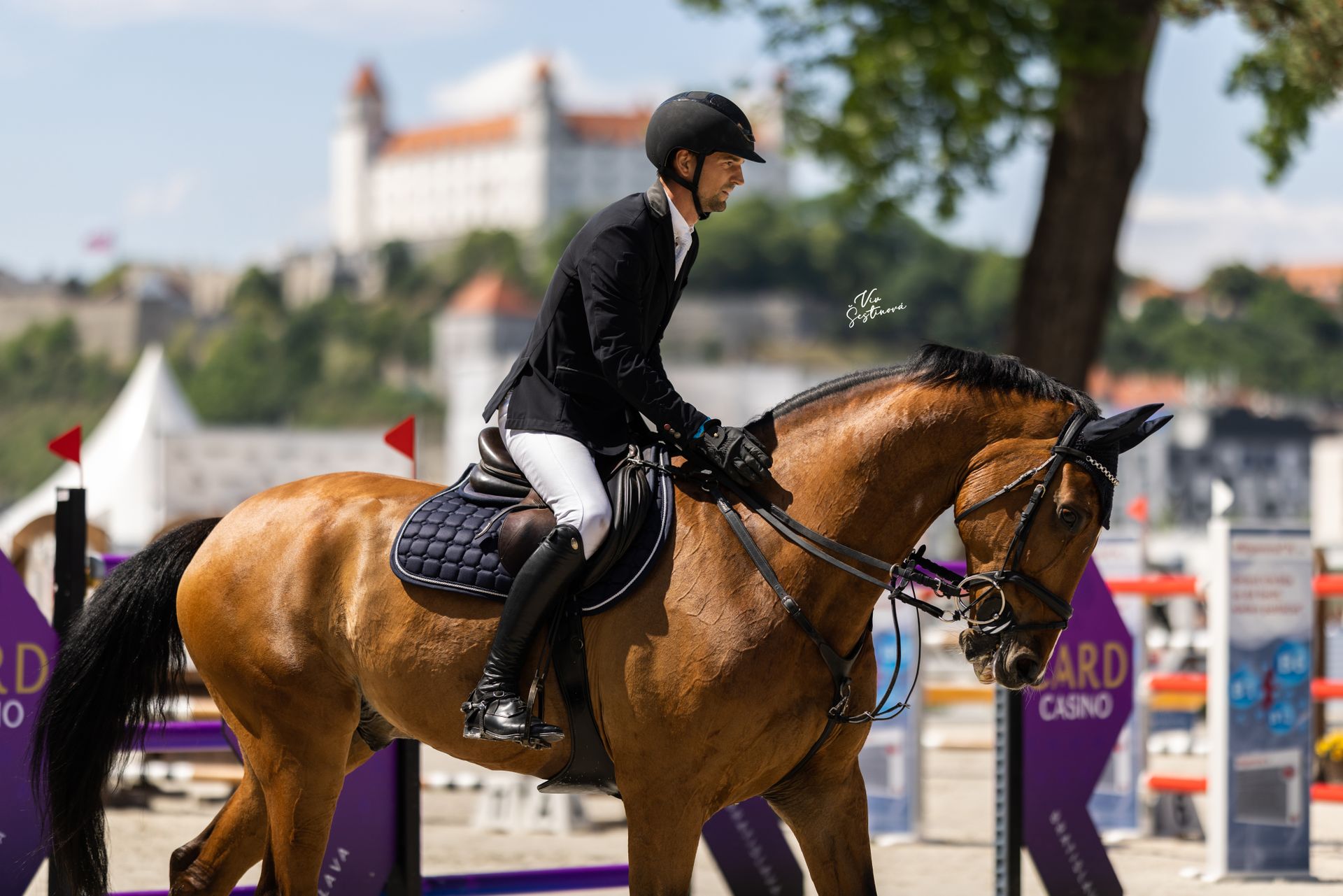 Showjumping