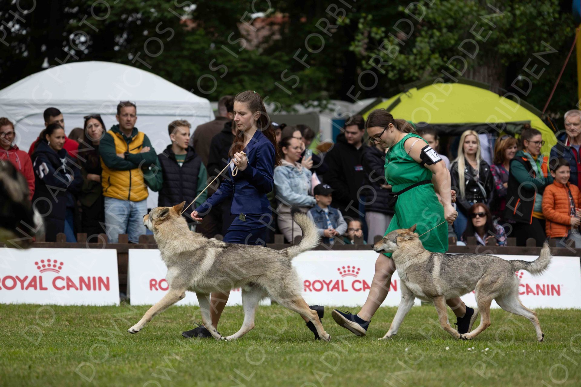 COMPETITIONS