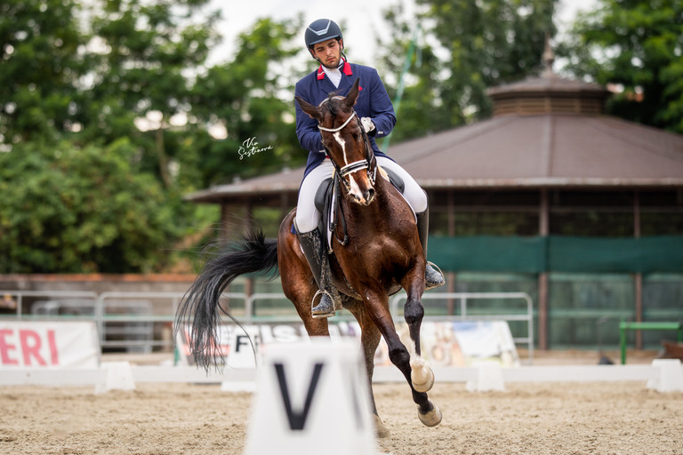Dressage