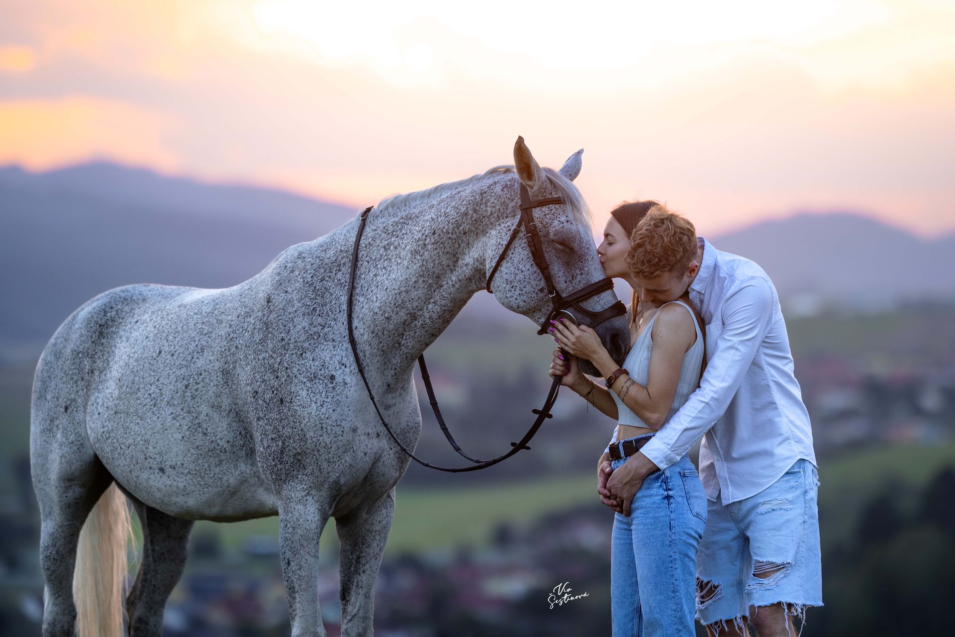 EQUINE PHOTOGRAPHY