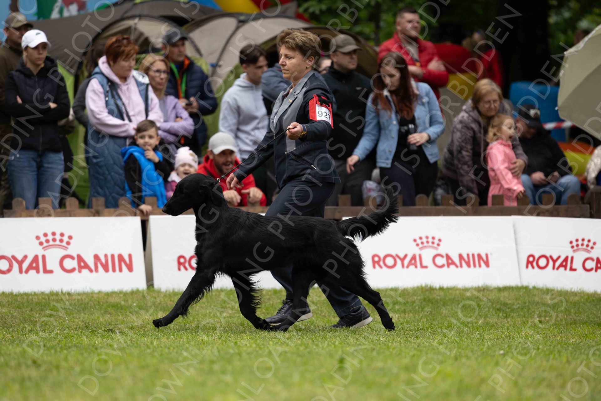 JUNIOR BIG 6-10