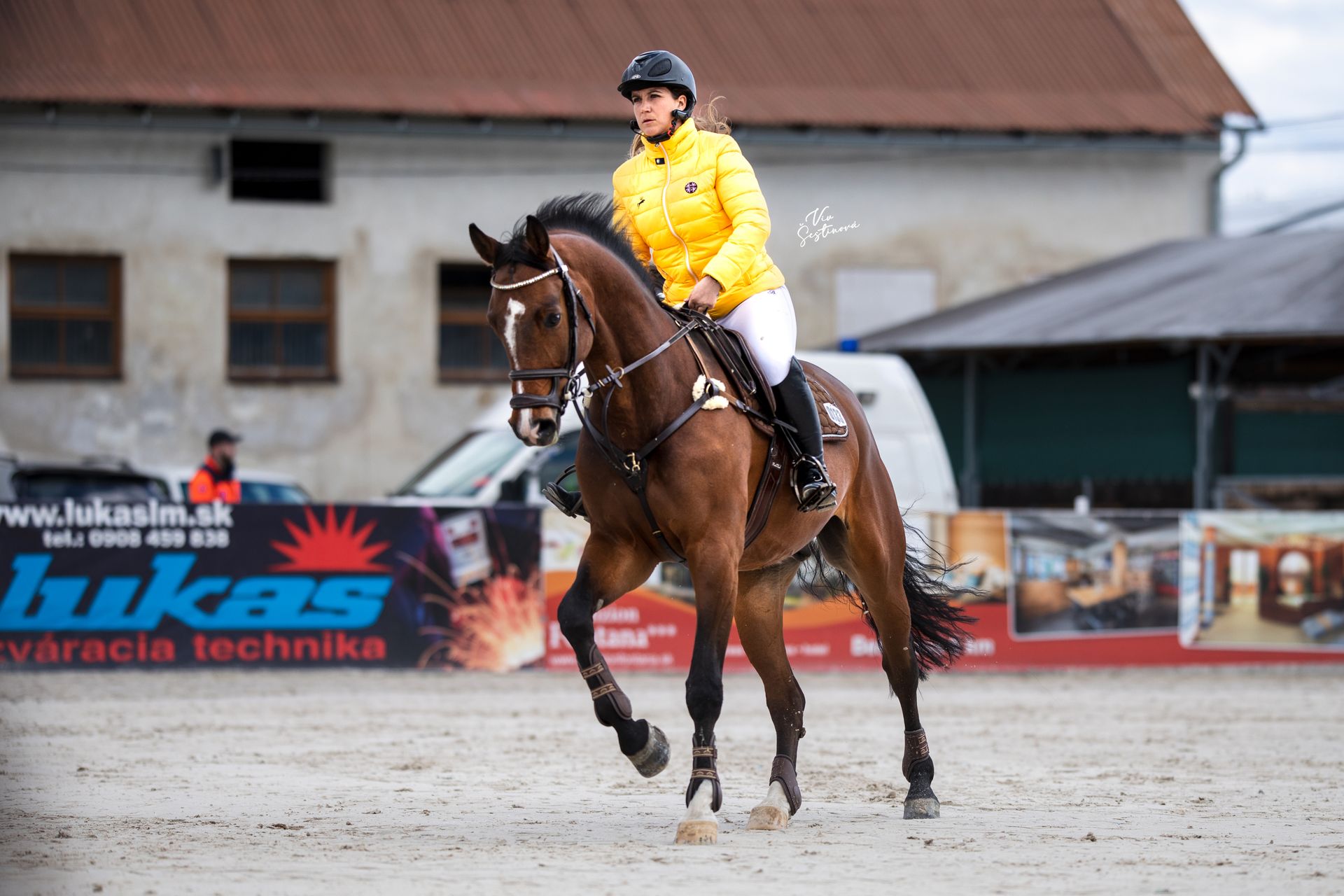 Showjumping