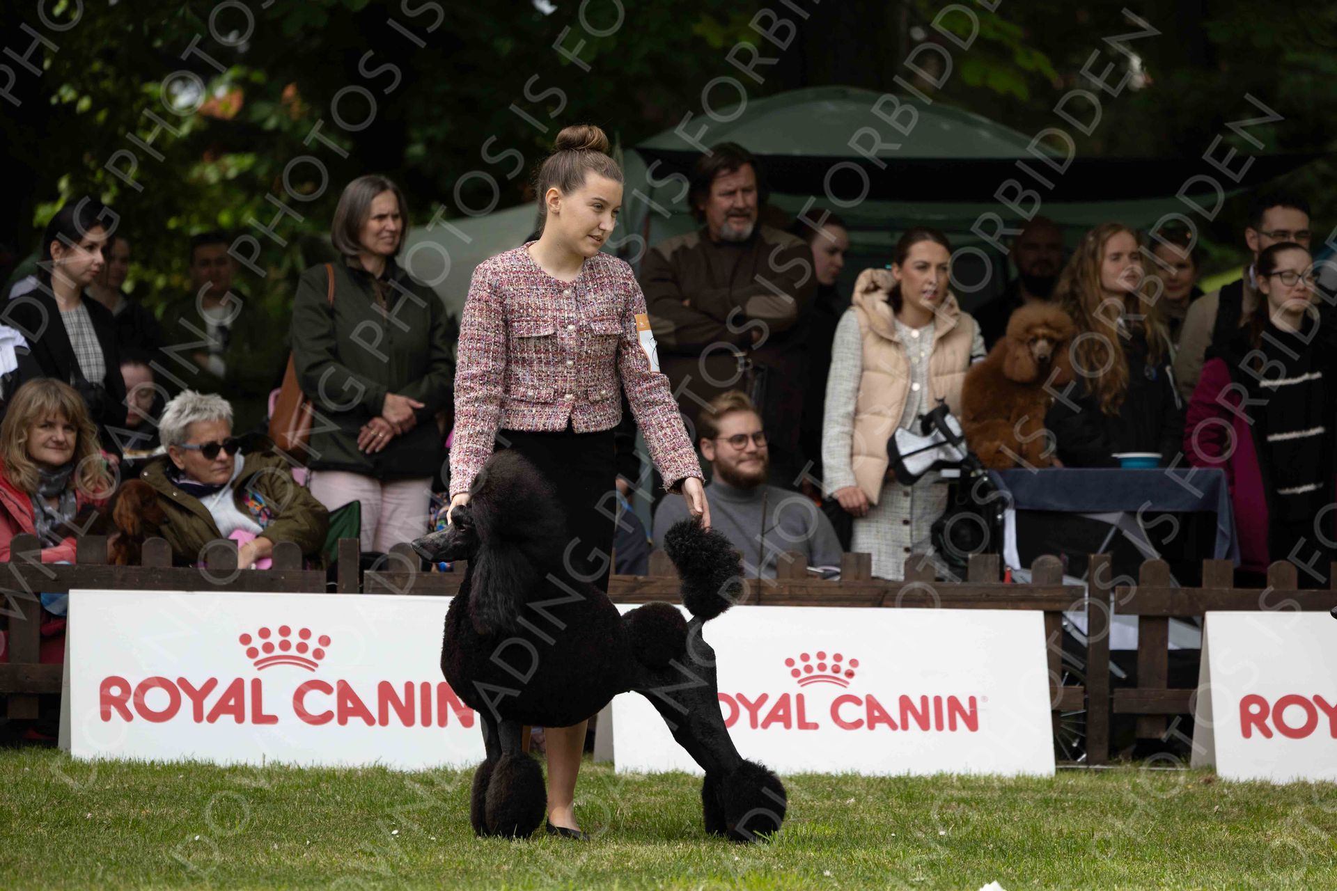 COMPETITIONS