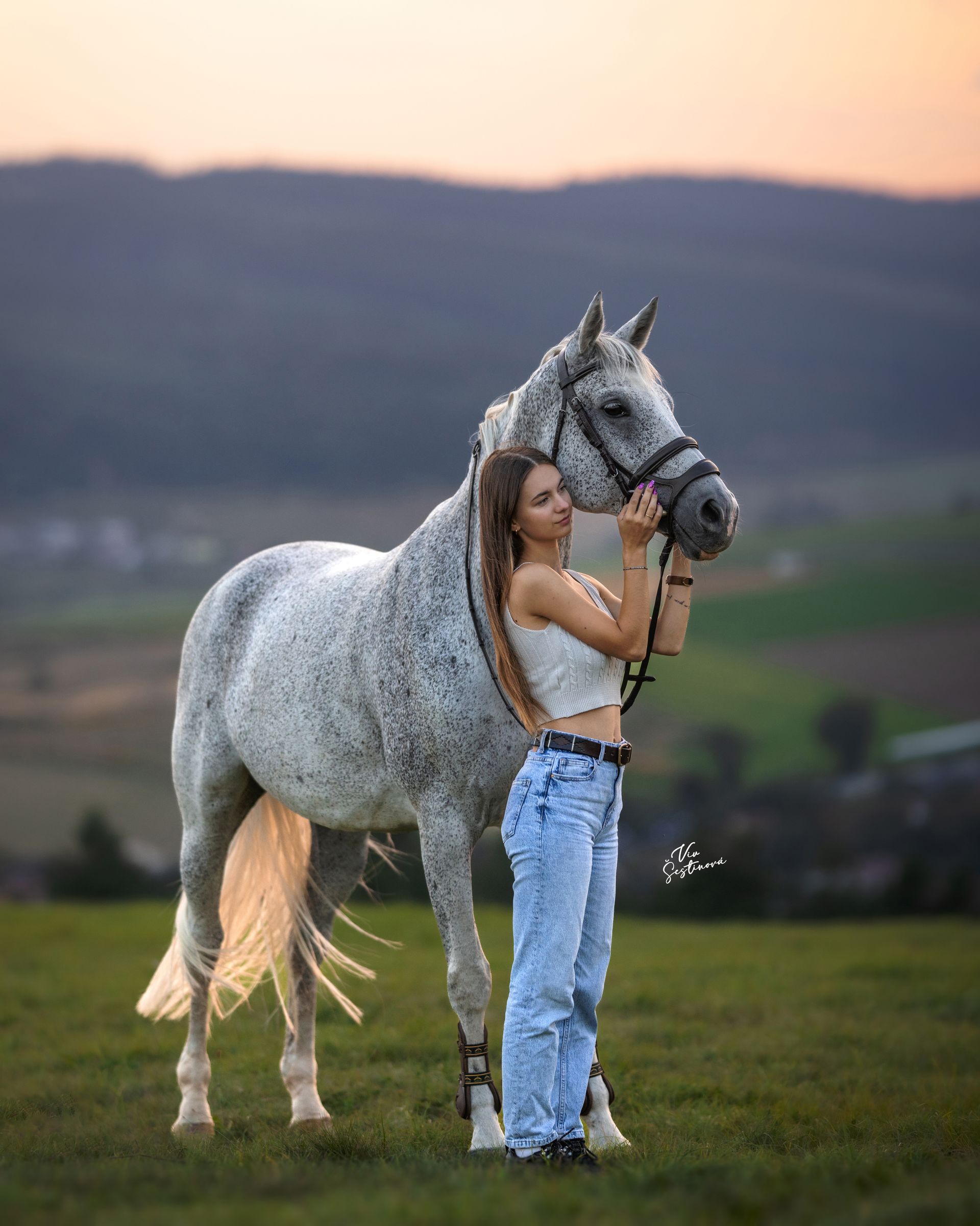 DEDICATED PHOTOSHOOTS 