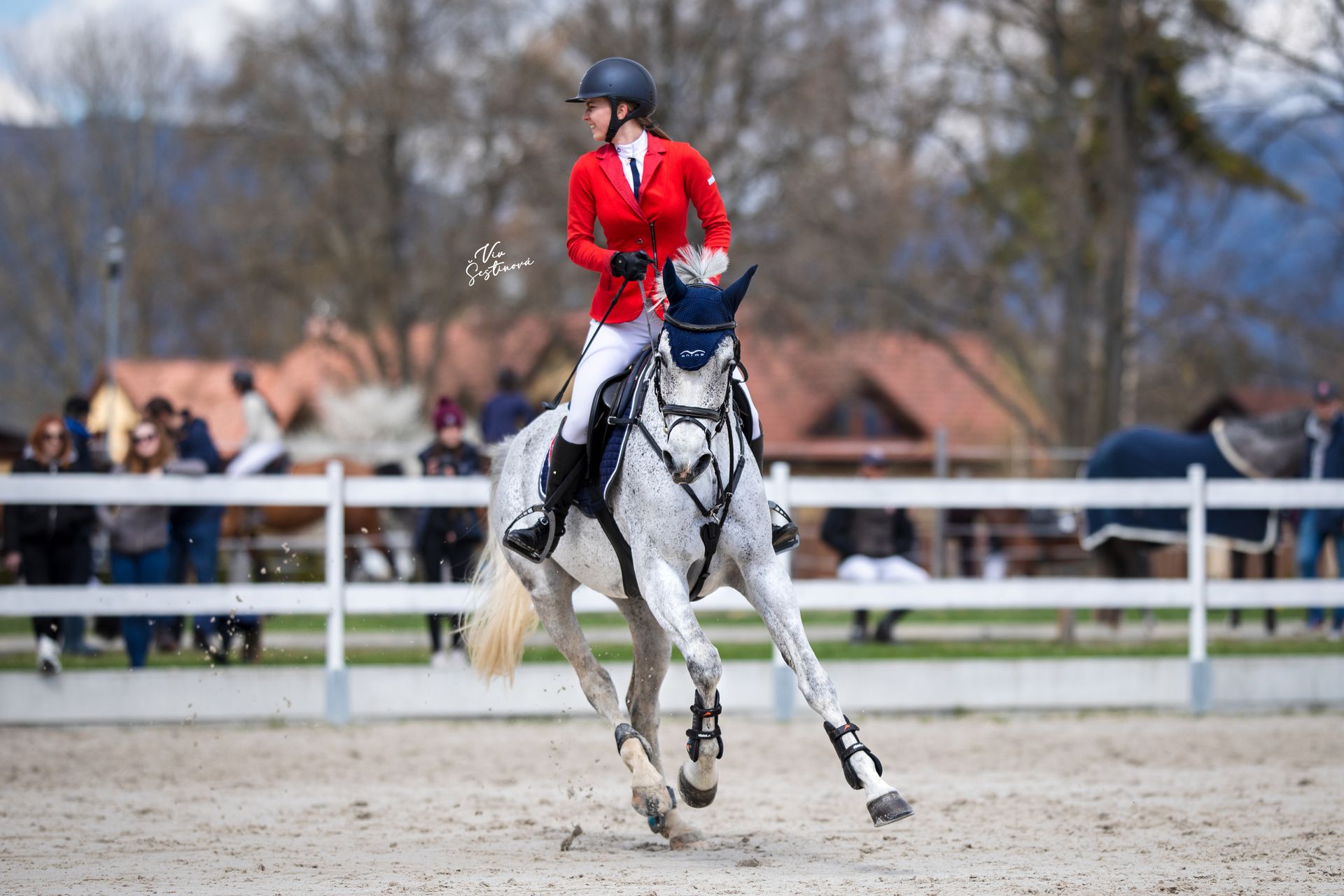 Showjumping