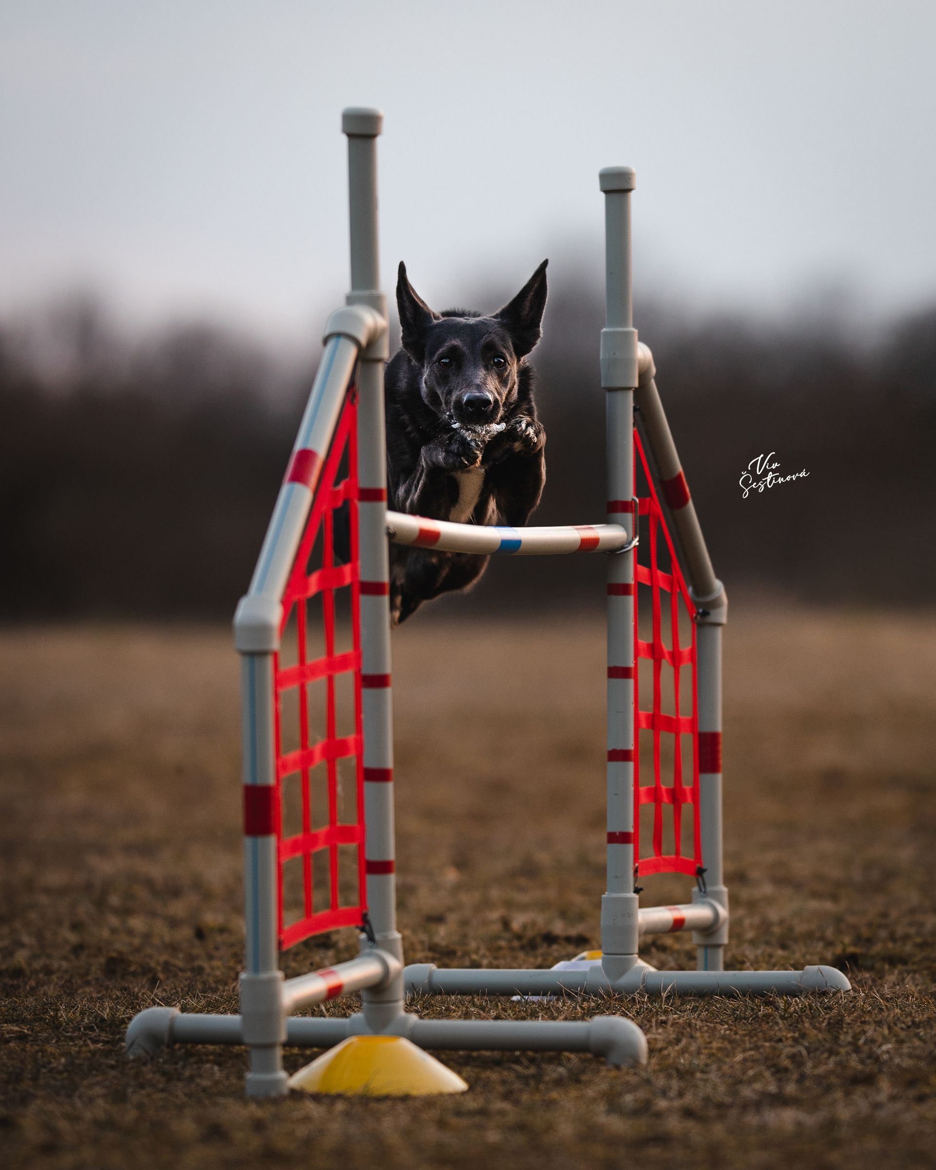 SPORT