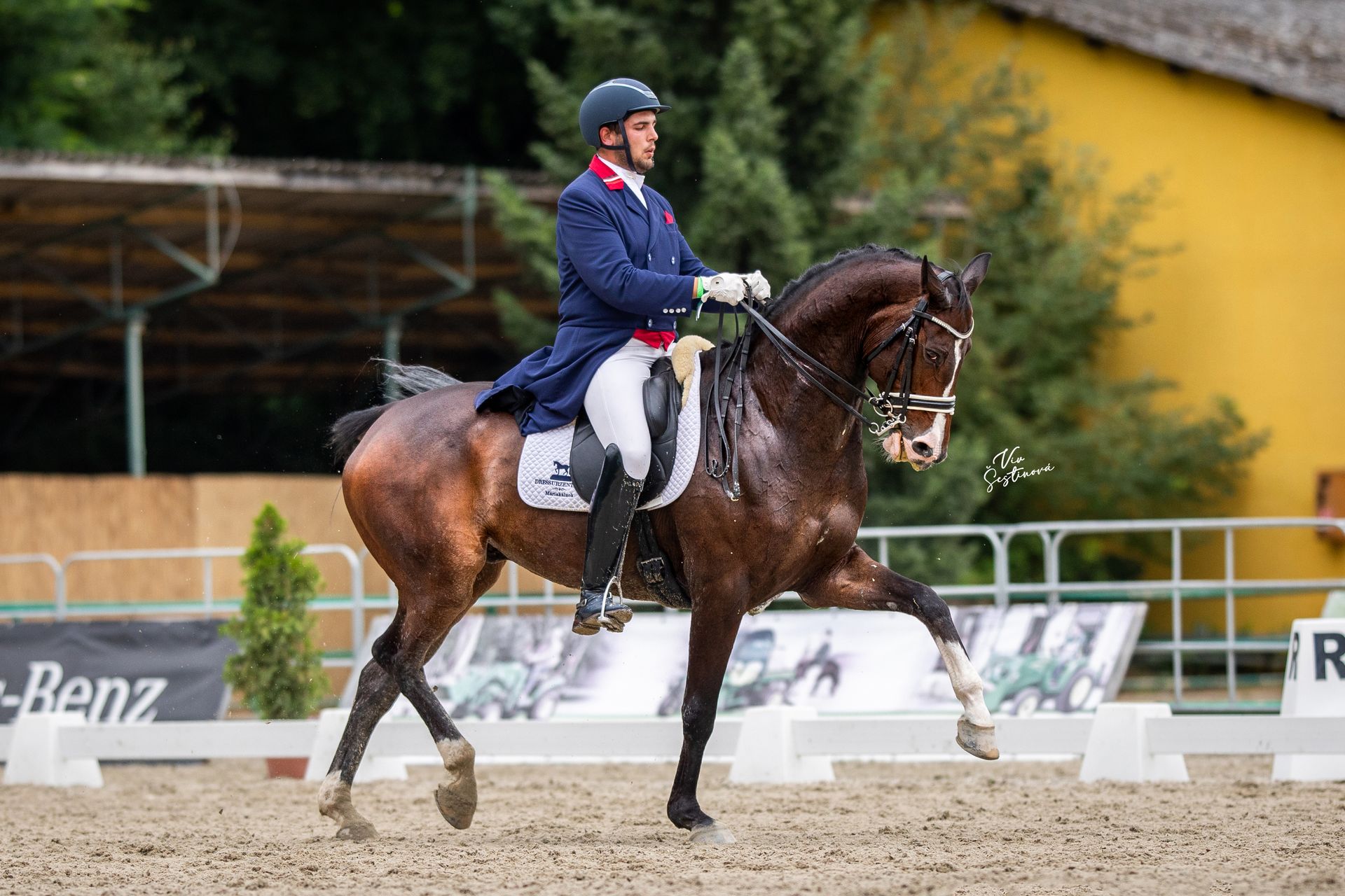 Dressage