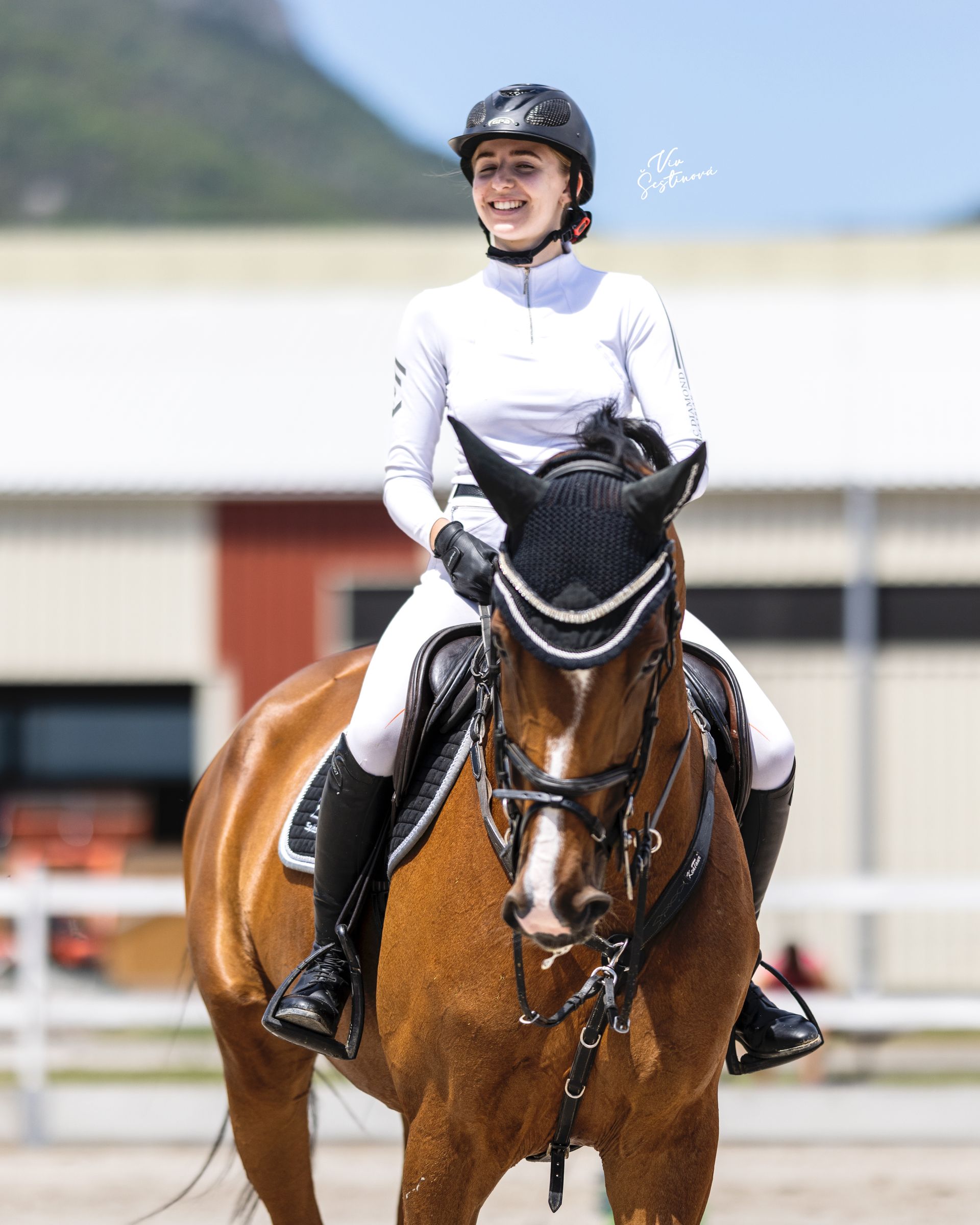 Showjumping