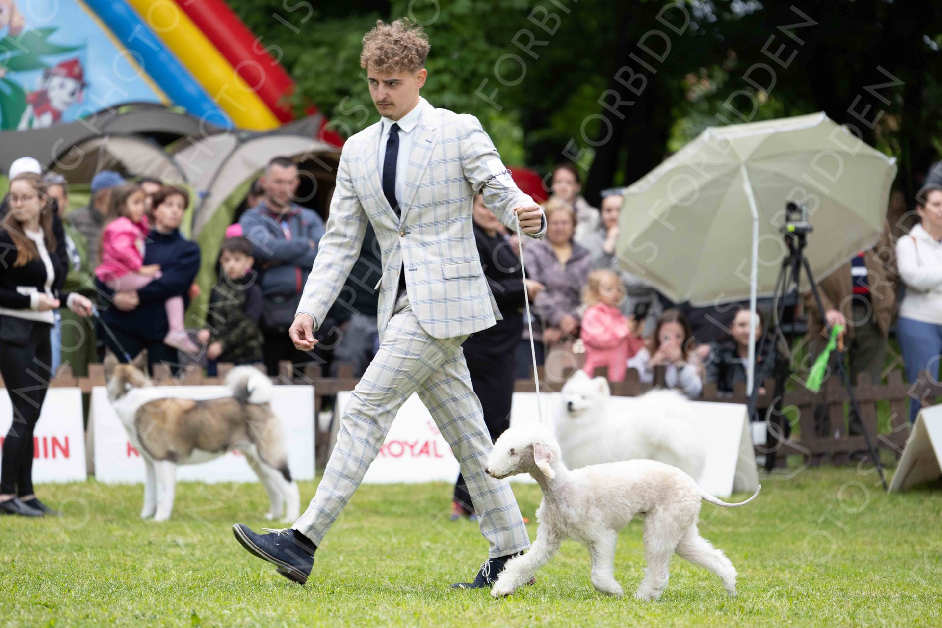 PUPPIES