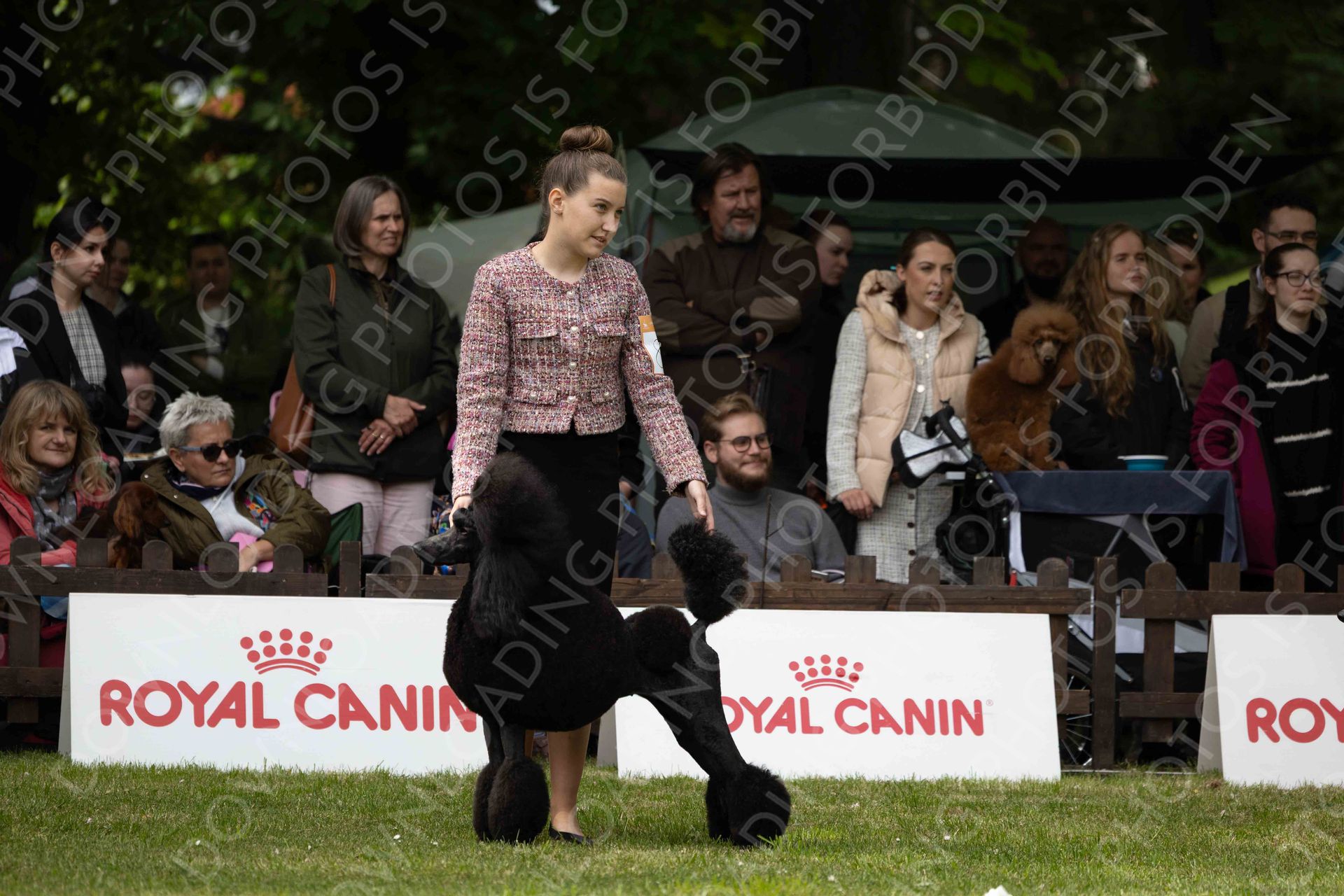 COMPETITIONS