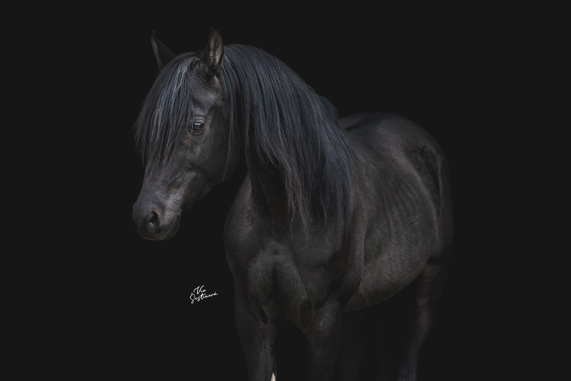 BLACK-BACKGROUND